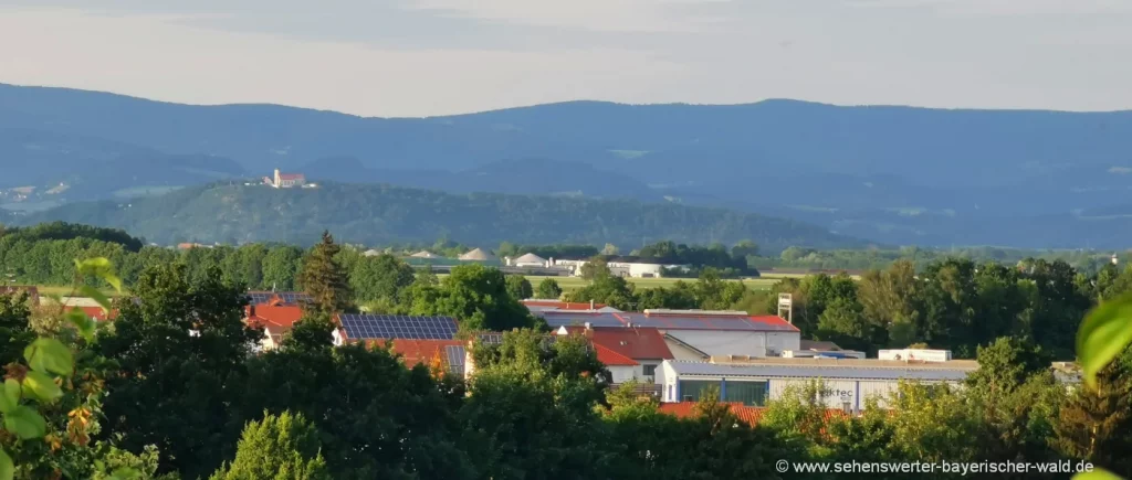 Aussicht zum Bogenberg am Aitrach Rundweg