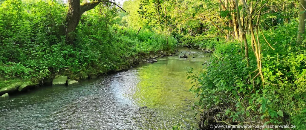 Spazieren gehen am Fluss Aitrach in Aiterhofen