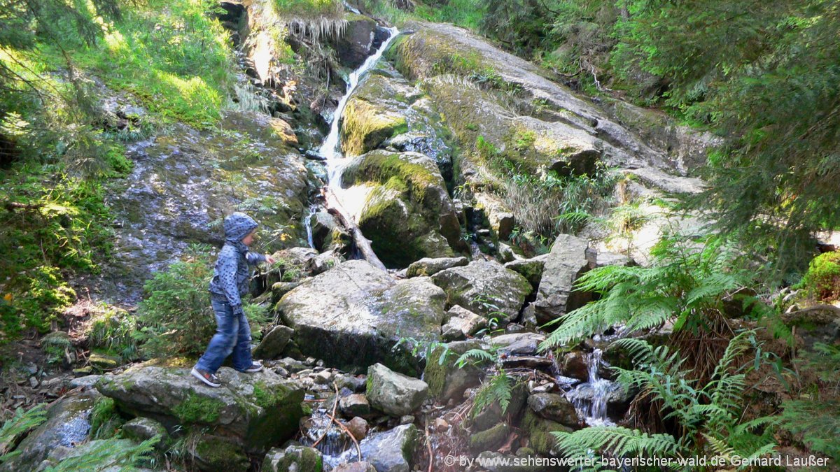 Wanderung kleiner Arbersee Rundweg wandern zum Gasthaus