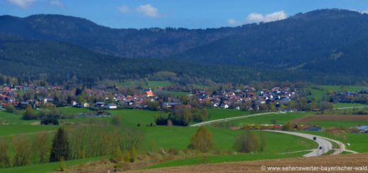 Arnbruck Glasdorf Ausflugsziele Bayerischer Wald Zellertal Landschaft Berge