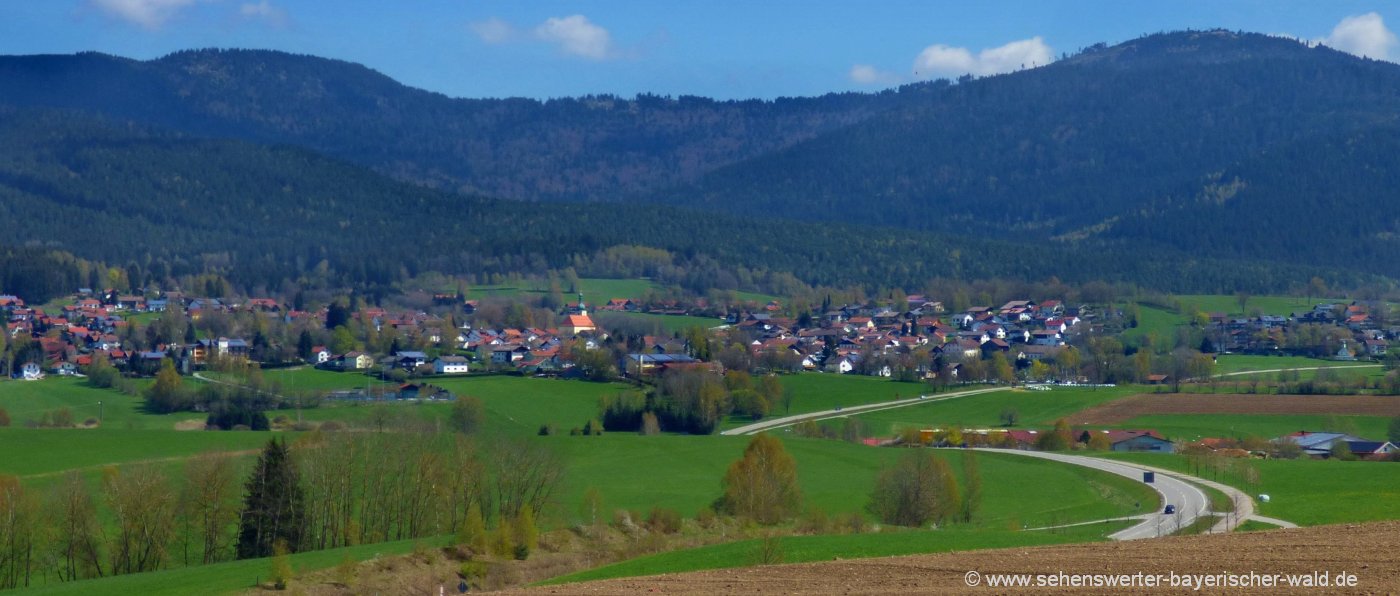 Arnbruck Glasdorf Ausflugsziele Bayerischer Wald Zellertal Landschaft Berge