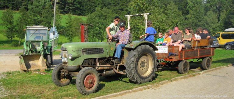 bauernhofurlaub-bayerischer-wald-erlebnisbauernhof-traktor-fahren