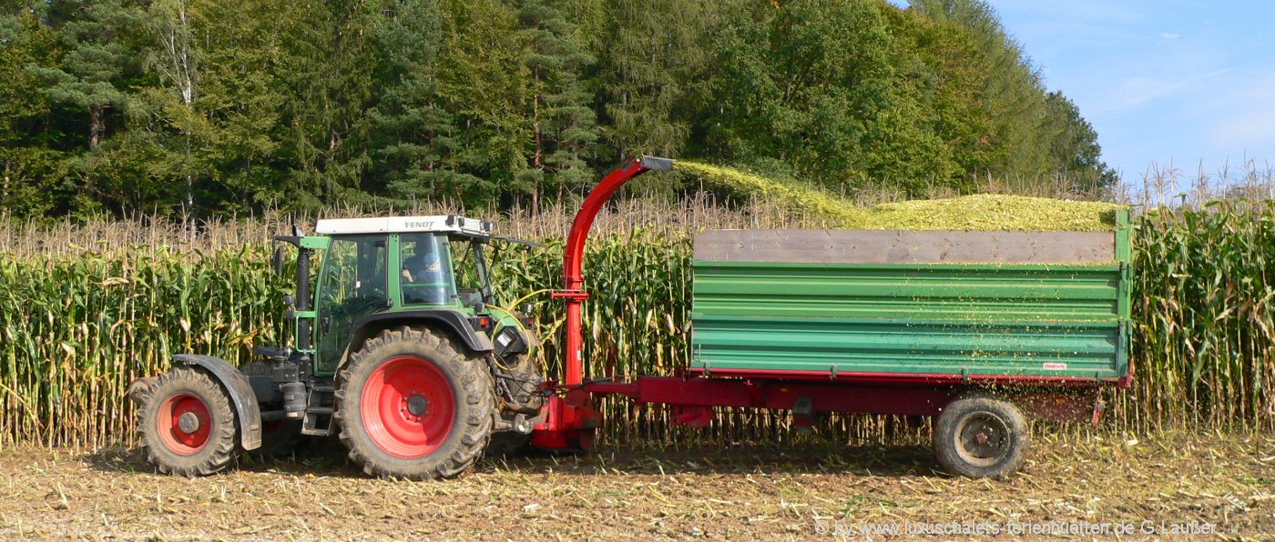 bauernhofurlaub-bayerischer-wald-maisernte-traktor-fahren-erlebnisferien