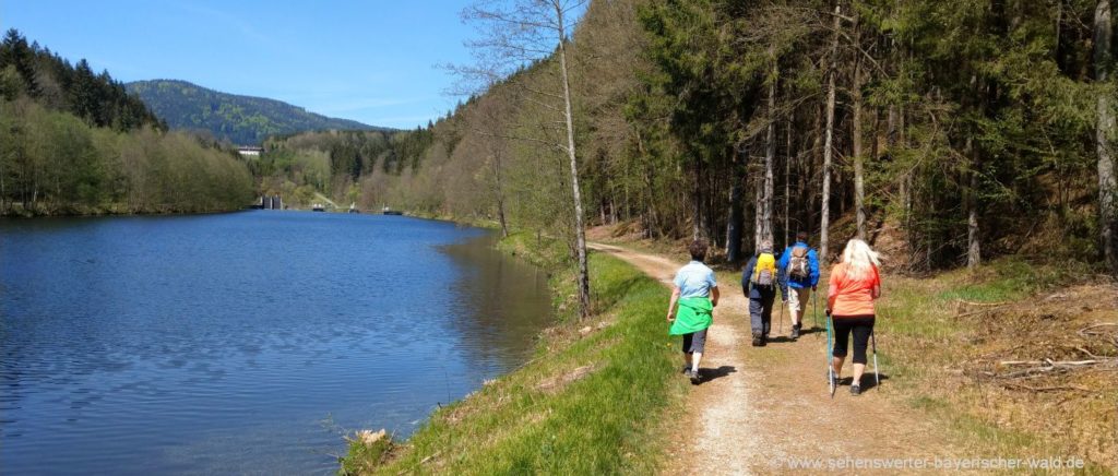 Wandern Bayerisch Kanada von Gumpenried bis Schnitzmühle Viechtach