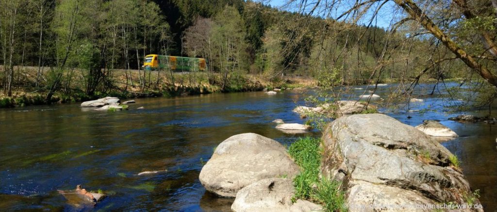 Bayerisch Kanada Radtour am Fluss Schwarzer Regen Rückfahrt mit Waldbahn