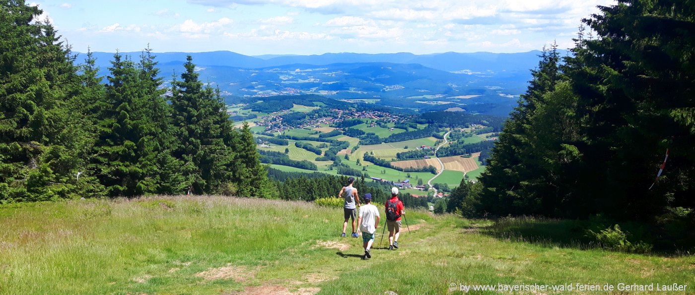 Wanderwege von 8 bis 10 km im Bayerischen Wald - mittlere Wanderung zum Pröller Gipfel