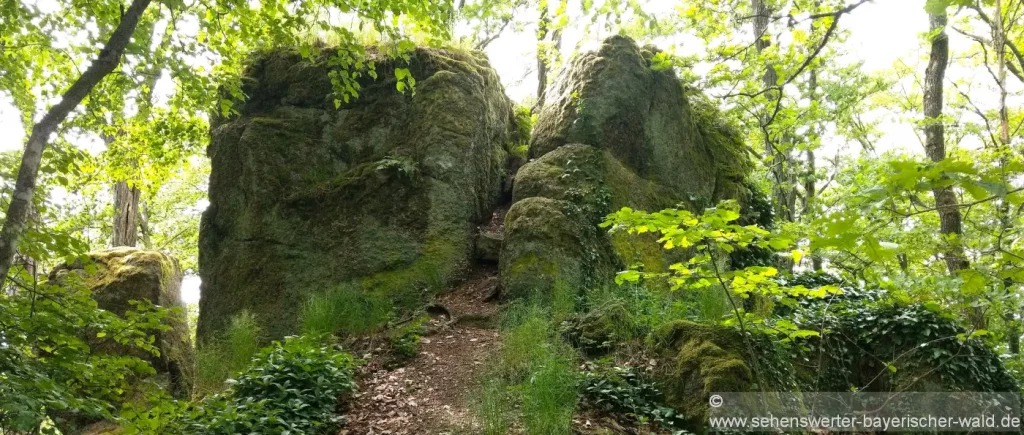Hoher Stein Bernhardswald mit Felsen am Gipfel Besondere Attraktion in Bernhardswald - Naturdenkmal Hoher Stein oberhalb Kürn mit Felsen