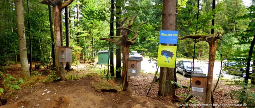 Ameisenweg Bodenmais der Naturerlebnispfad im Bayerischen Wald Naturerlebnispfad Bodenmais Ameisenpfad Bayerischer Wald Familien Ausflug