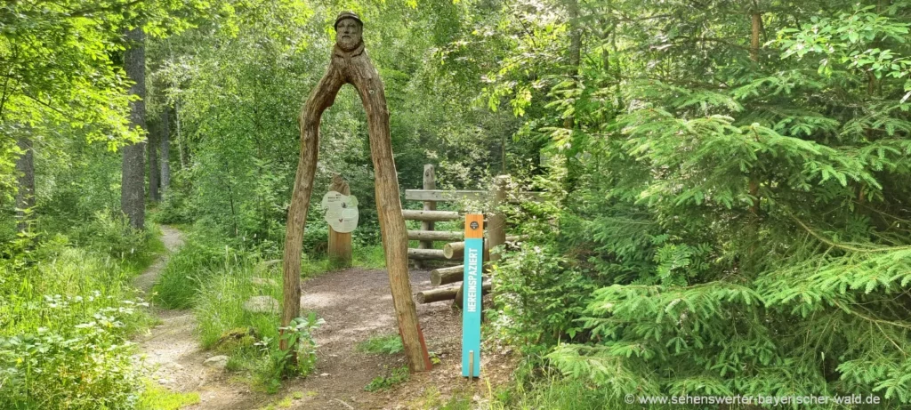 Naturentdecker Erlebnispfad Bodenmais Woid Woife Naturpfad für Entdecker