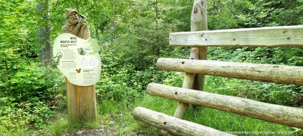 Woid Woife Erlebnispfad Bodenmais Woid Woife Wanderung am Silberberg Erlebnispfad
