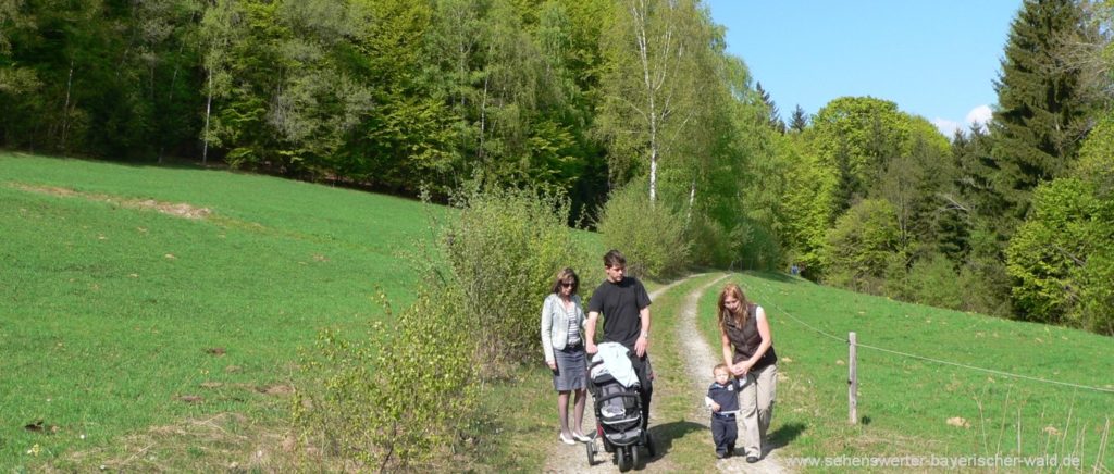 Schaukelweg in Breitenberg Familien Wanderweg im Bayerischen Wald