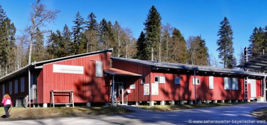 bretterschachten-aktivzentrum-bayerischer-wald-wanderparkplatz-ausgangspunkt