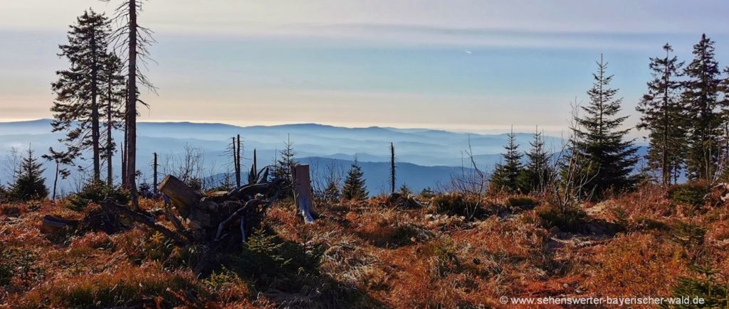 Rundweg ab Bretterschachten Hochzellberg & Hochzellschachten zum Mittagsplatzl