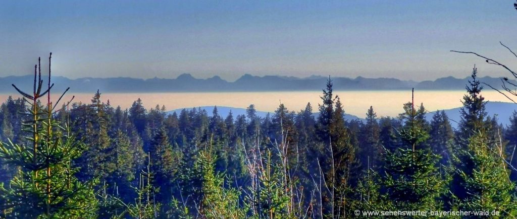 Alpenblick am Rundwanderweg Betterschachten Mittagsplatzl