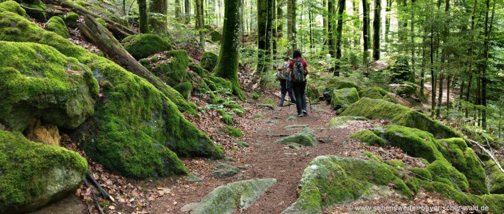 Freizeit Aktivitäten bei Ringelai Sehenswürdigkeit Wildbach Klamm