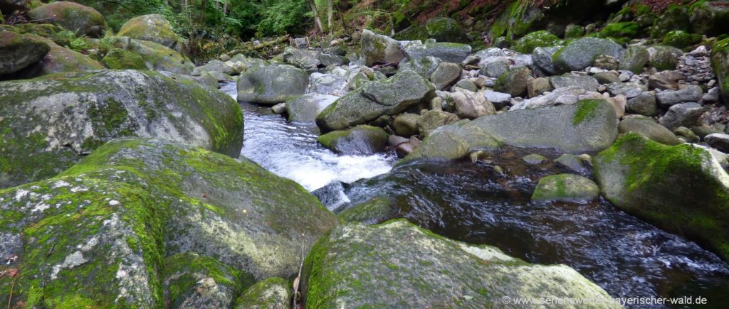 buchberger-leite-wildbach-klamm-felsen-bayerischer-wald-wandern