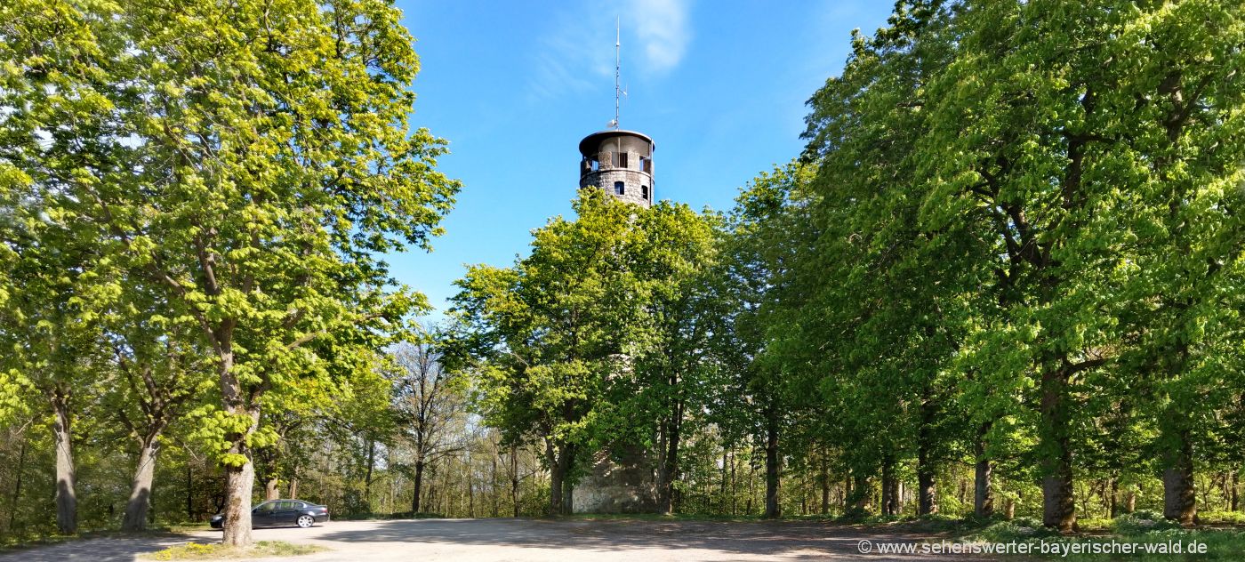 Aussichtsturm in Cham - Tolle Wanderung zum Luitpoldturm auf der Luitpoldhöhe Aussichtsturm Cham Wanderung zum Luitpoldturm Luitpoldhöhe