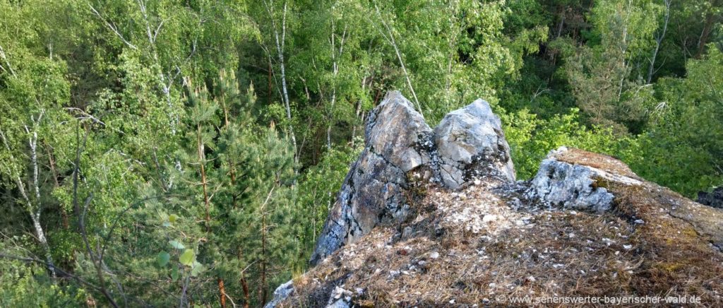 Teufelsmauer Bayerischer Wald der Pfahlrücken Quarzfelsen