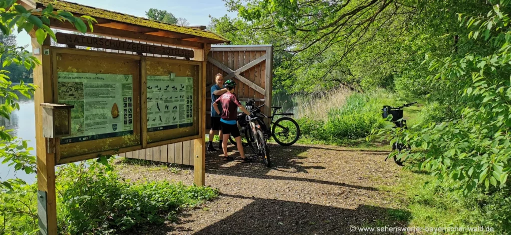 Infotafel Rötelseeauen Naturschutzgebiet Cham