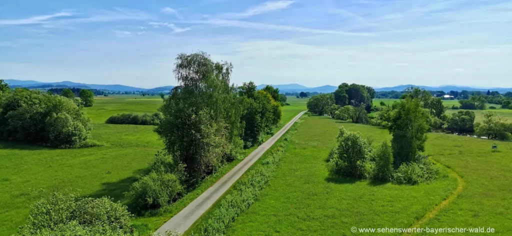 Ausblick vom Aussichtsturm Regentalaue