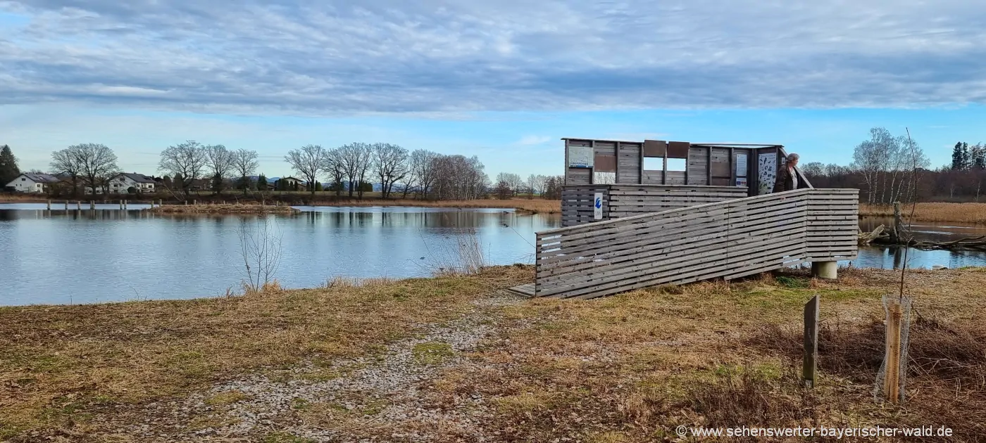 cham-untertraubenbach-lettenweiher-aussichtsplattform-vogelbeobachtung