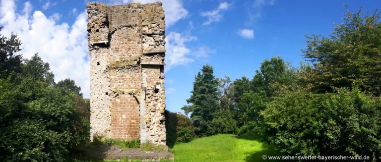 chammünster-ausflugsziele-ödenturm-burgruine