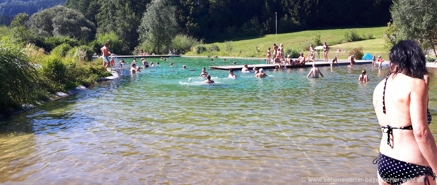 Naturbad in Drachselsried Badesee im Landkreis Regen Bayerischer Wald