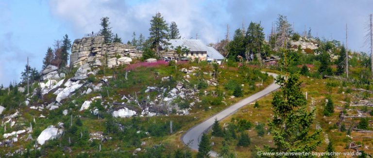 dreisessel-wanderung-gipfel-berghütte-wandern-berggasthof