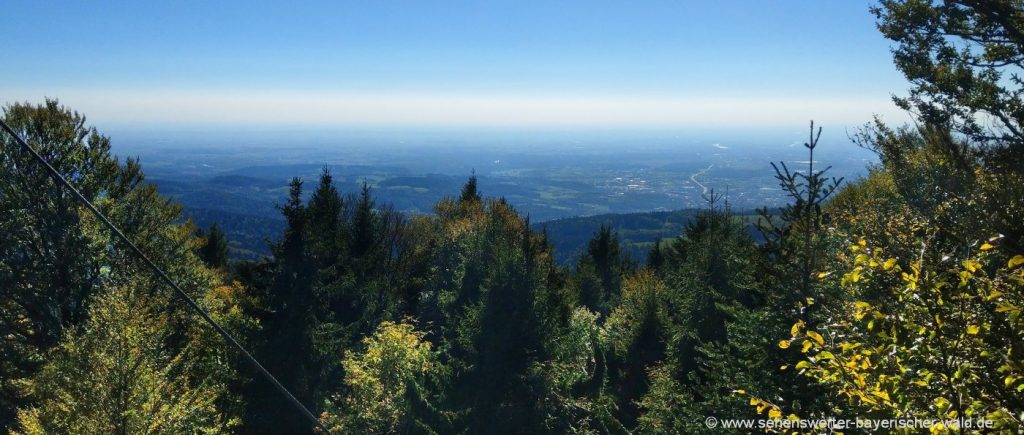 Aussichtspunkt Dreitannenriegel bei Deggendorf dreitannenriegel-wanderung-berggipfel-aussichtspunkt-niederbayern