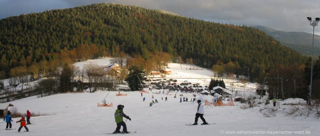  Skigebiet Eck Riedelstein Skifahren bei Arrach und Arnbruck