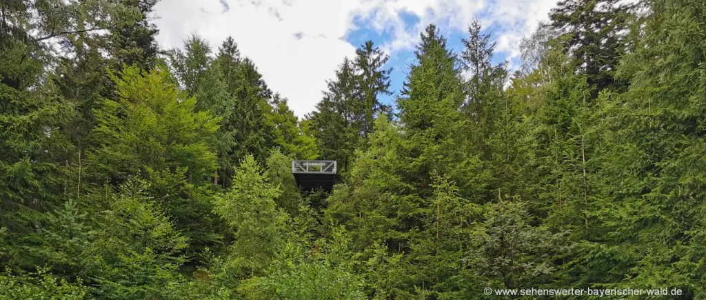 Eck Skywalk Aussichtsplattform im Zellertal bei Arnbruck & Drachselsried