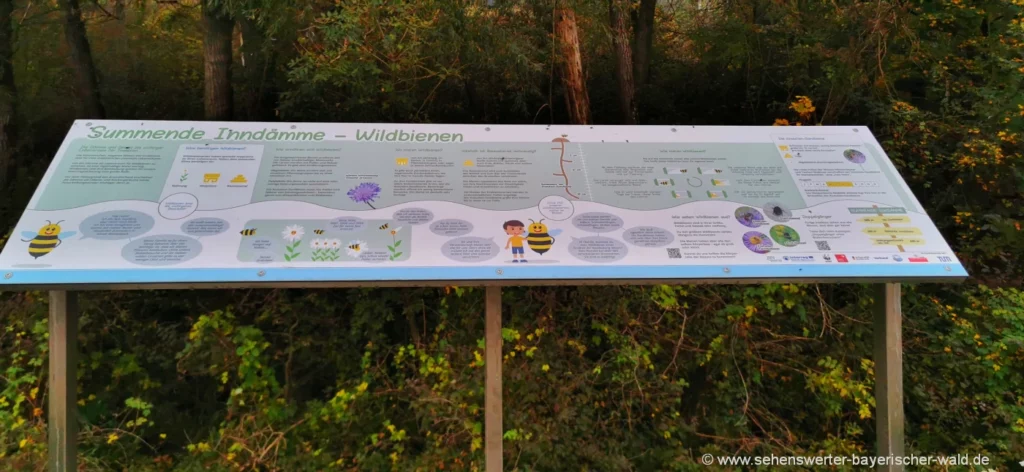 Spazierwege bei Bad Füssing - Infotafel am Vogelkundeweg Infotafel am Vogelkundeweg in den Innauen bei Würding
