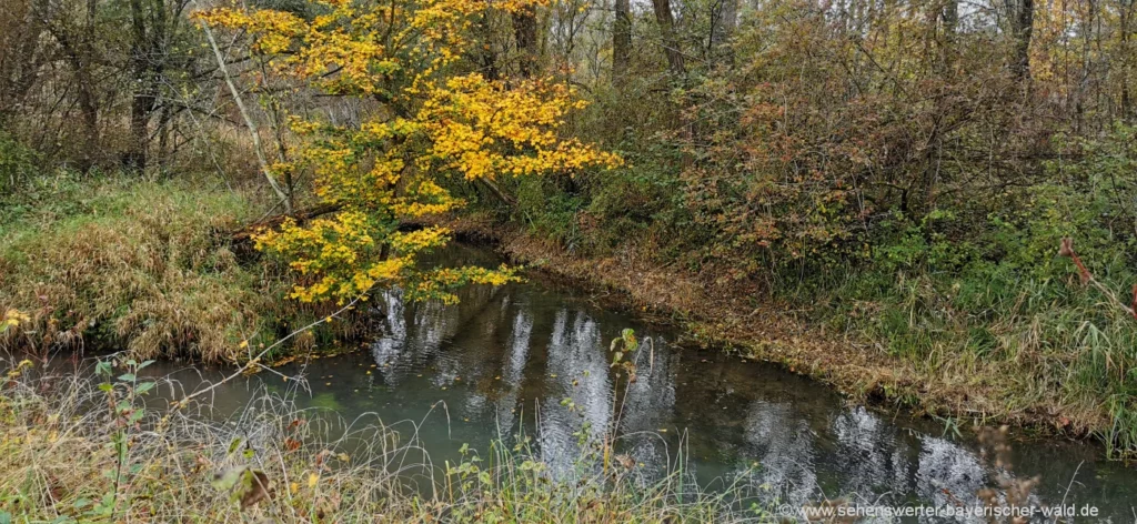 Bad Füssing Vogelkundeweg am Inn - Wanderung bei Egglfing in den Innauen