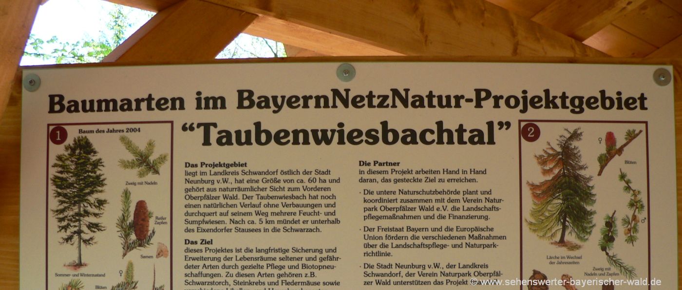 Wandern am Naturerlebispfad im Oberpfälzer Wald