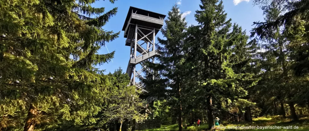 Erweiterung der Wanderung Burgruine Weissenstein zum Oberpfalzturm auf der Platte