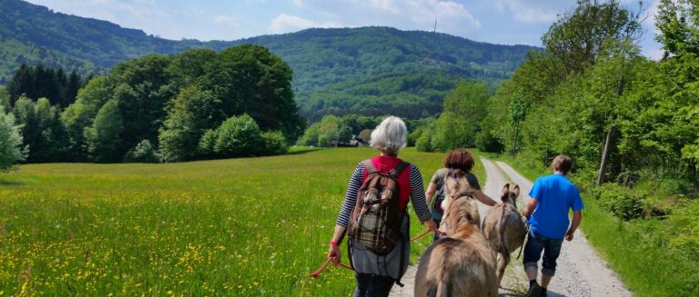 eselhof-niederbayern-eselwanderungen-bayerischer-wald-eselsafari-panorama