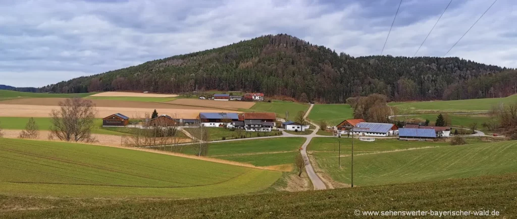 Rundwanderweg Blick zum Sengersberg Gipfel im Mühltal bei Falkenstein