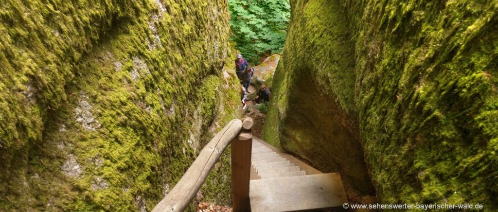 Wandern rund um Burg Falkenstein Himmelsleiter im Felsenpark