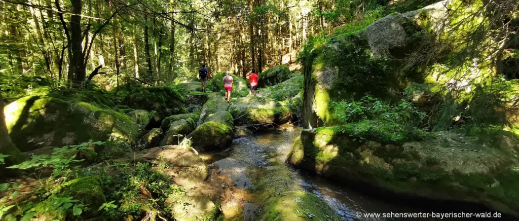 Wanderung durchs Naturschutzgebiet Doost Rundwanderweg Naturschutzgebiet Doost