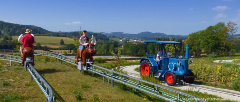 freizeitangebote-bayerischer-wald-kinder-freizeitaktivitäten-familienausflug