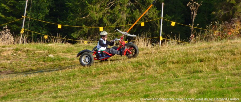 Bullracing am Hohen Bogen Freizeitzentrum mit Sommerrodelbahn