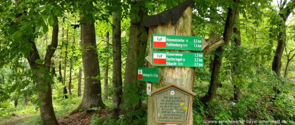 Wandern zur Himmelsleiter am Voithenberg Wander Wegweise zur Glaserwiese, Gibacht, Voithenberg, Himmelsleiter