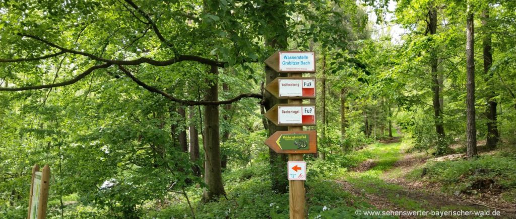 Wanderwege am Voithenberg Furth im Wald Wanderwege am Voithenberg Wald Erlebnispfad Rundweg