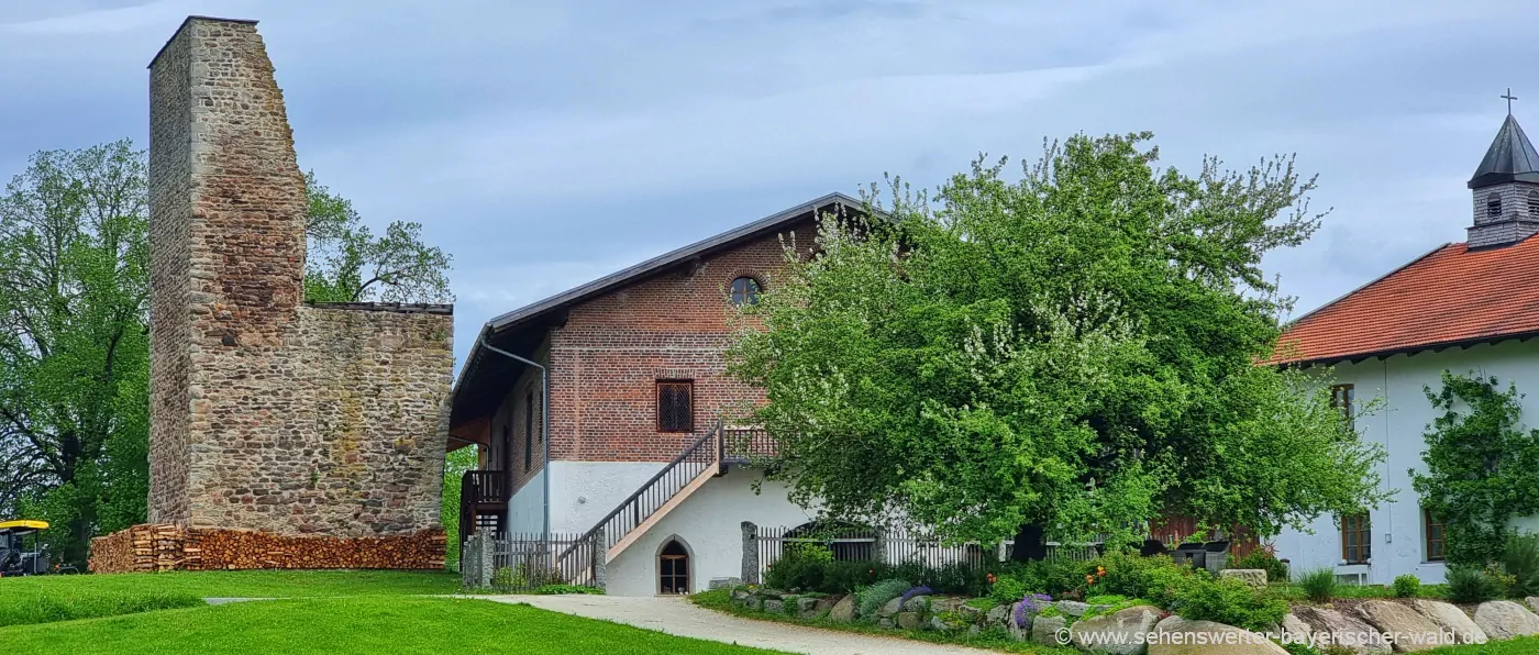 geiersthal-burgruine-linden-patersdorf-teisnach-sehenswürdigkeiten