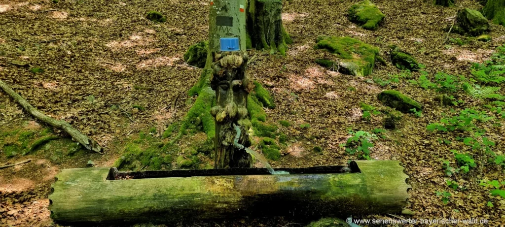 Brunnen am Rundwanderweg bei Roßhof im Wald