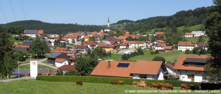 grainet-bergdorf-bayerischer-wald-dorfansicht-panorama-