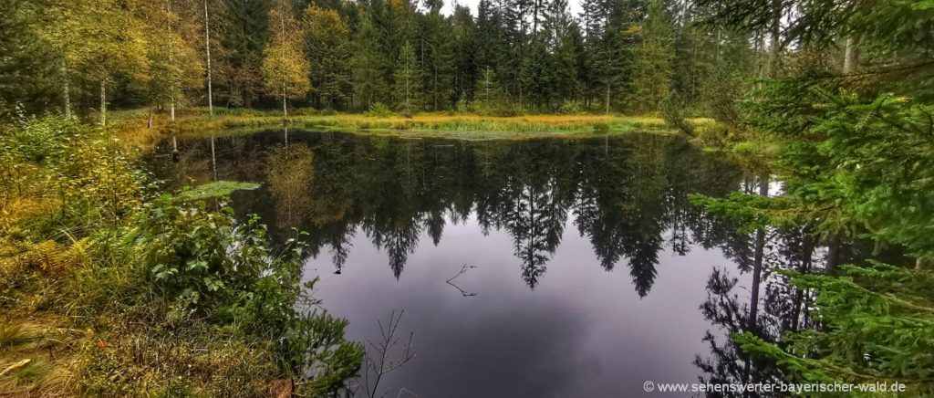 Rundwanderweg ab Grandsberg Grimmeisenweiher am Mühlgrabenweg