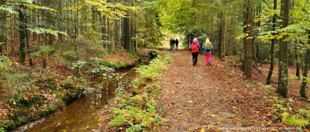 Grandsberg wandern am Mühlgrabenweg Rundweg am Bach