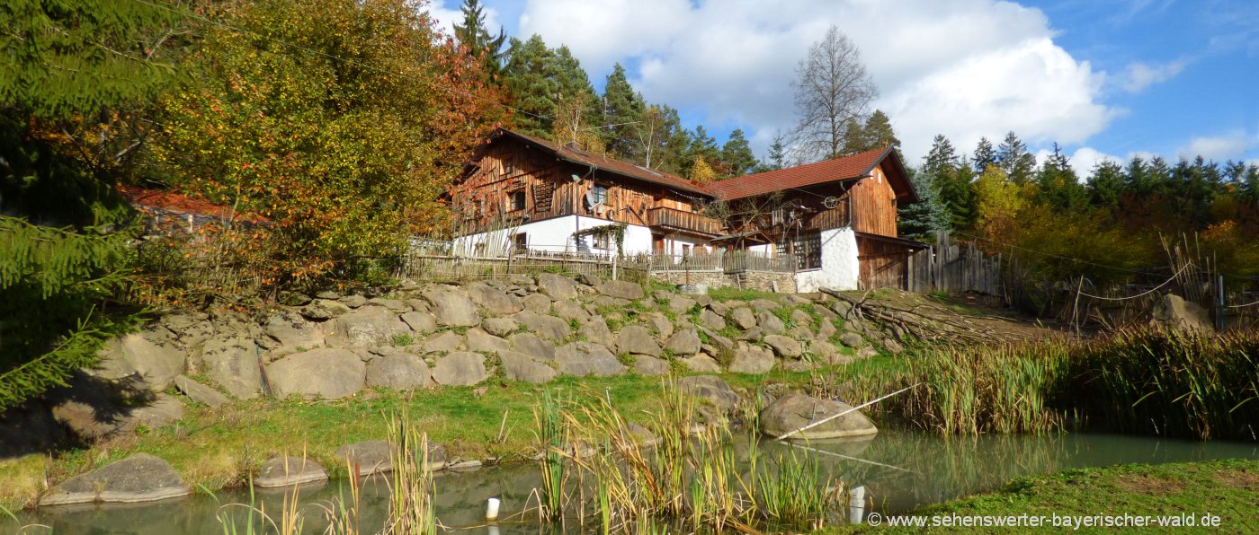 gruppenunterkunft-bayern-gruppenhaus-bayerischer-wald