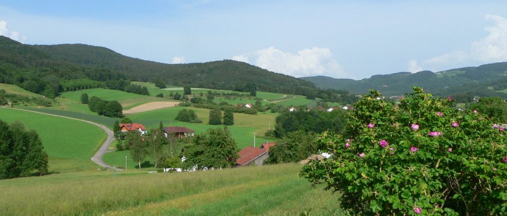 Wandern am Gunthersteig Lallinger Winkel Landschaft